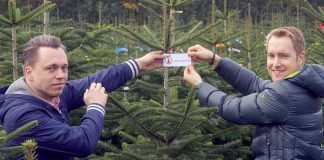 123Tannenbäume Weihnachten nachhaltig Umwelt Weihnachten