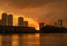 Auswandern nach Sri Lanka: Visum, Steuern und Gründung Skyline von Colombo bei Sonnenuntergang hinter dem Beira-See
