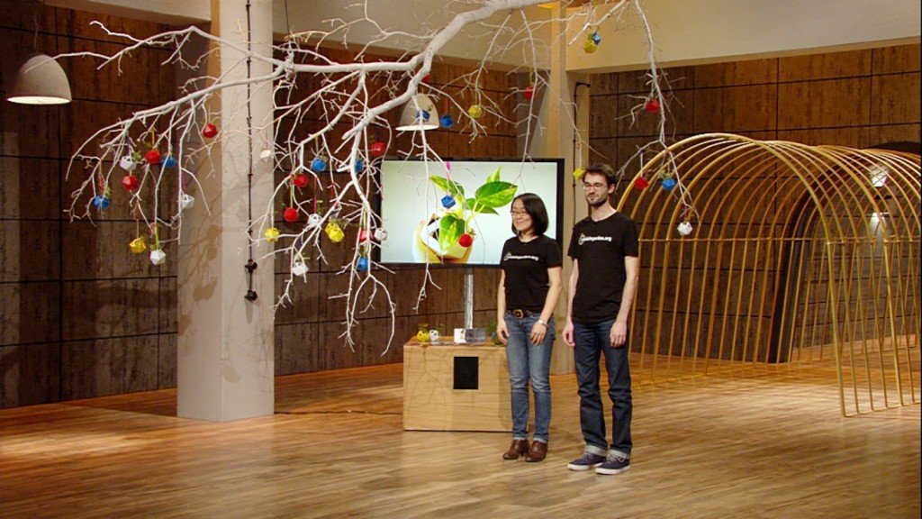 Mobile Garden Gründungsteam Akiko Takahashi und Christian Atz vor der Jury. (Bildnachweis: VOX/Sony)