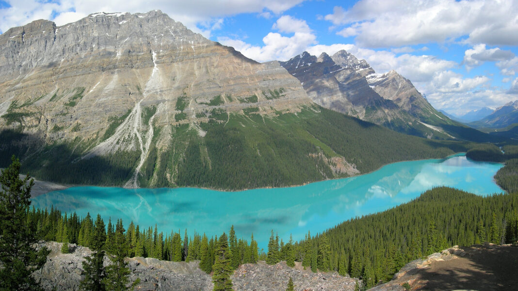Der türkisfarbene Peyto Lake im Banff-Nationalpark inmitten der Rocky Mountains