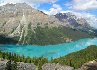 Der türkisfarbene Peyto Lake im Banff-Nationalpark inmitten der Rocky Mountains