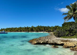 Türkisfarbenes Wasser und Palmenküste der Isla Saona im Südosten der Dominikanischen Republik