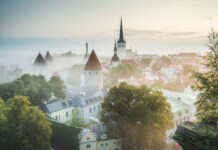 Auswandern nach Estland: Kompakte Anleitung für den Neustart im digitalen Norden Die Tallinner Altstadt im Morgennebel bei Sonnenaufgang