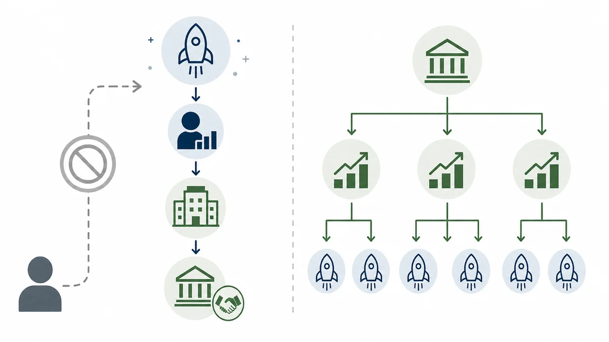 Co-Investment-Wege Infografik mit direktem Scale-up-Direct-Co-Investment und indirektem Kapitalweg über VC-Fonds.