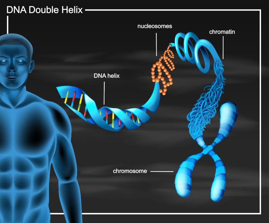 Selbst-Optimierung – Mit Bio-Hacking zum besseren ICH