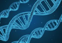 DNA-Strang Health Startup