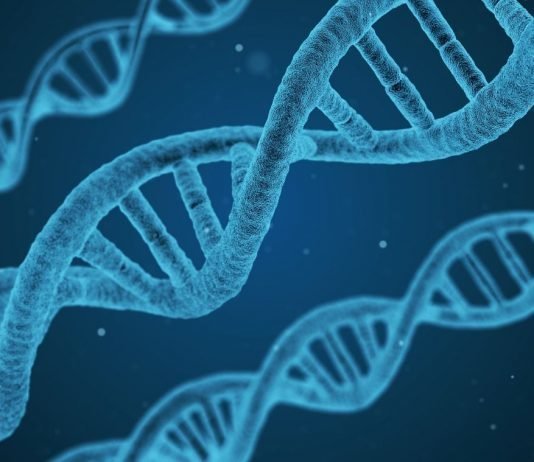 DNA-Strang Health Startup