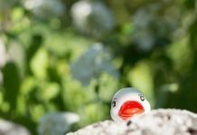Schüchtern im Pitch? Macht nichts