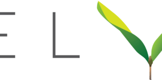 Rebelvest_Logo