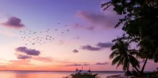 auswandern-auf-die Philippinen_2