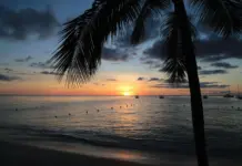 auswandern-barbados_1
