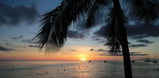 auswandern-barbados_1