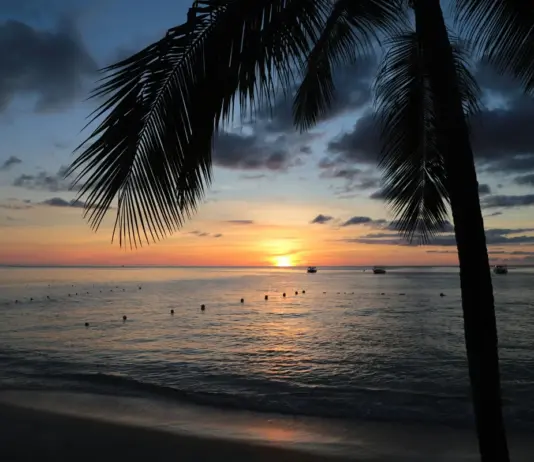 auswandern-barbados_1