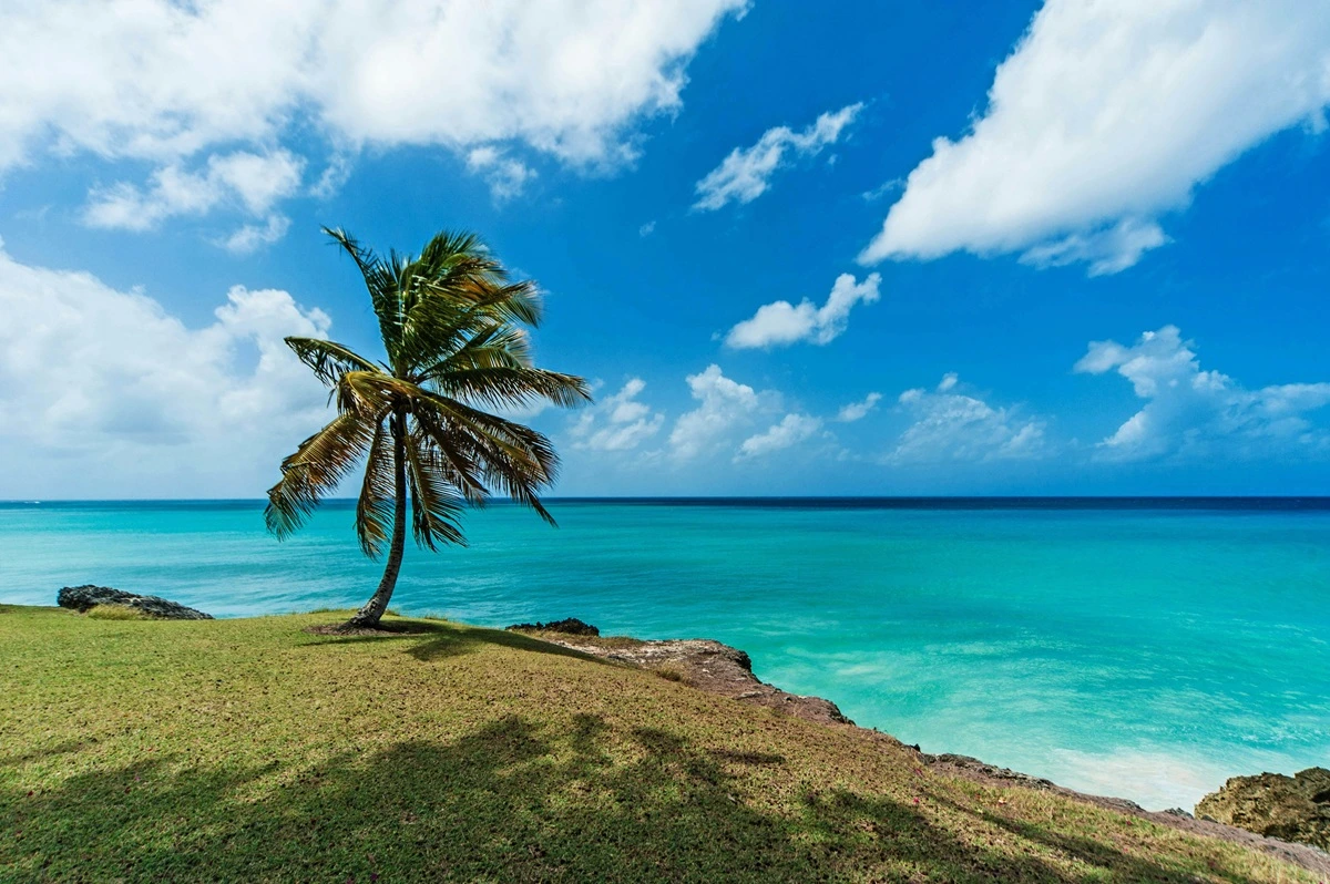 auswandern-barbados_3