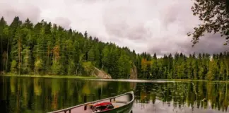 auswandern-finnland