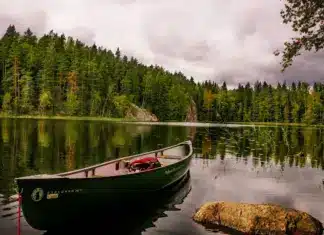 auswandern-finnland
