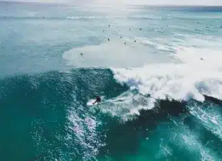 auswandern-fuerteventura_1