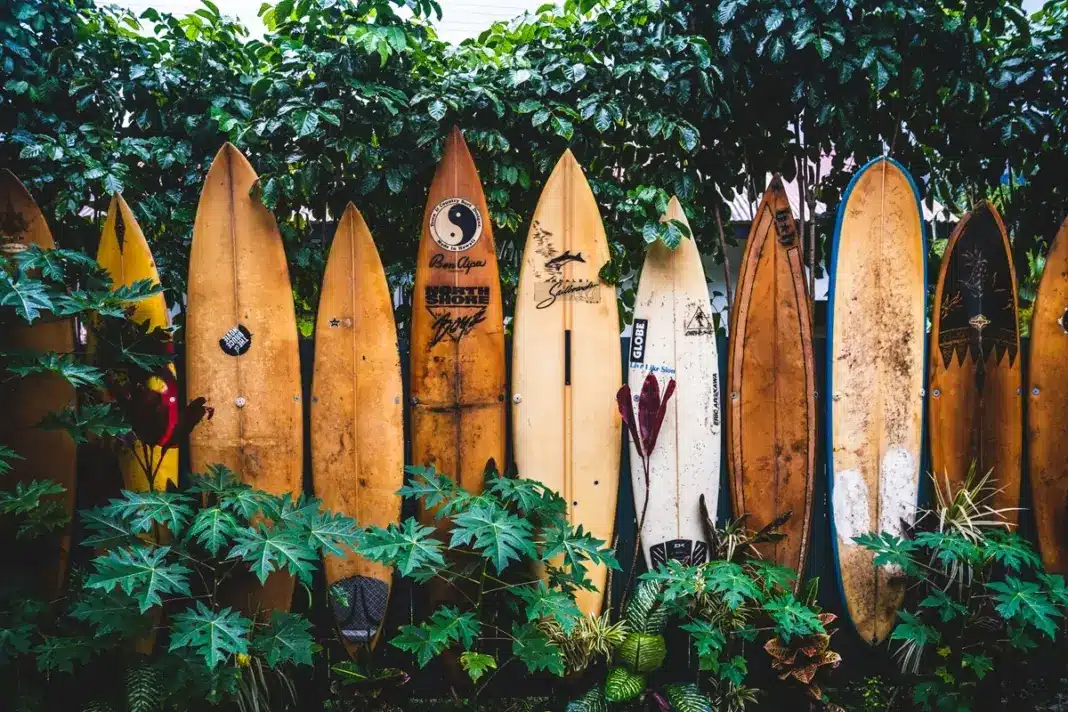 auswandern-hawaii_2
