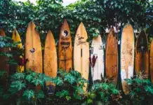 Auswandern nach Hawaii: US-Visa, Steuern und Insel-Alltag im Überblick auswandern-hawaii_2