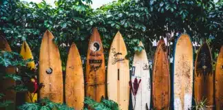 auswandern-hawaii_2