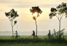 auswandern-indonesia-1