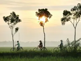 auswandern-indonesia-1