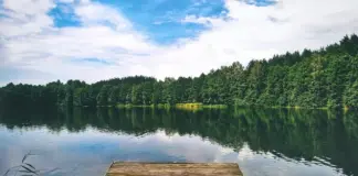 auswandern-litauen_1 (5)