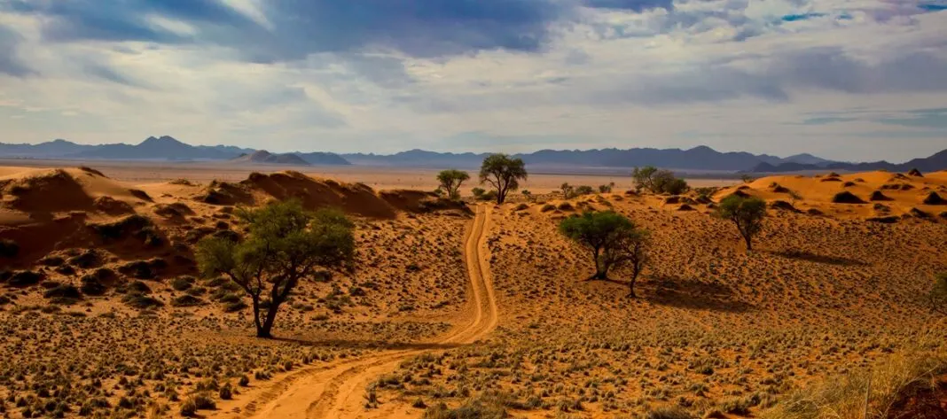 Auswandern Namibia: Leitfaden für Planung, Visum, Leben und Arbeiten