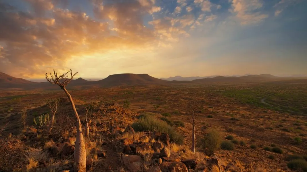 Auswandern Namibia: Leitfaden für Planung, Visum, Leben und Arbeiten
