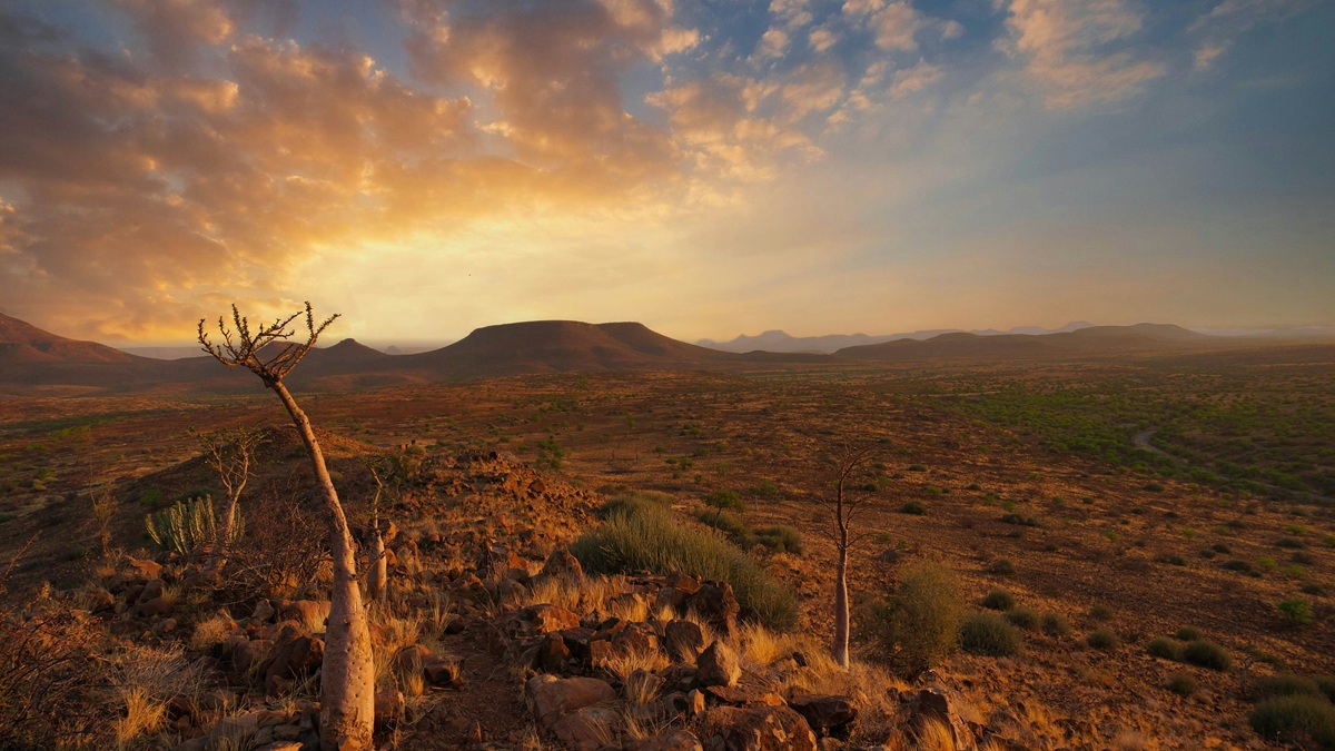 Auswandern Namibia: Leitfaden für Planung, Visum, Leben und Arbeiten