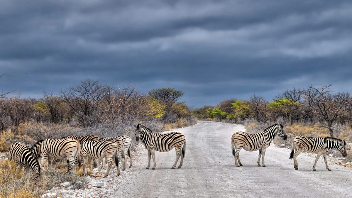 Auswandern Namibia: Leitfaden für Planung, Visum, Leben und Arbeiten