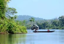 Auswandern nach Suriname: Chancen, Risiken und konkrete Schritte