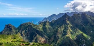 auswandern-teneriffa_2 (2)