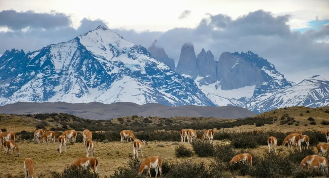 auswanderung-chile_4