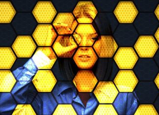 Blockchainnetzwerk dargestellt als Bienenwaben