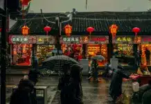 china-auswandern (4)