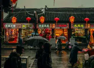 china-auswandern (4)