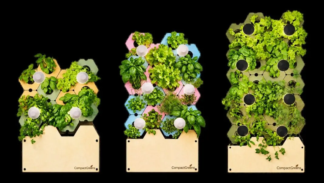 Drei CompactGreens-Pflanzwände mit Salat und Kräutern auf schwarzem Grund