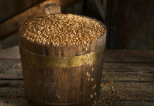 Ein hölzernes Getreidemaß mit Messingband steht randvoll mit goldenem Weizen auf abgewetztem Holz, Körner rieseln über den Rand, tiefstehendes Seitenlicht