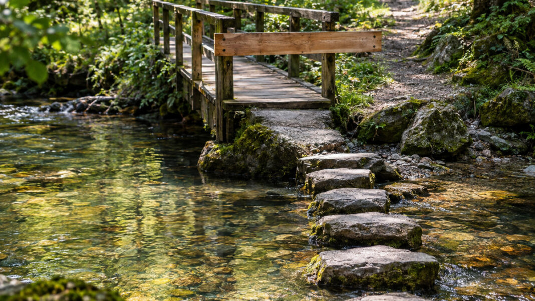 Eine schmale Holzbrücke über einen Waldbach ist mit einem quer genagelten Balken gesperrt, daneben führen flache Trittsteine durch das klare Wasser ans andere Ufer, Vormittagslicht