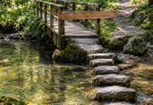 Gründungszuschuss ohne Arbeitslosigkeit: Was stattdessen geht Eine schmale Holzbrücke über einen Waldbach ist mit einem quer genagelten Balken gesperrt, daneben führen flache Trittsteine durch das klare Wasser ans andere Ufer, Vormittagslicht