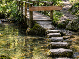 Eine schmale Holzbrücke über einen Waldbach ist mit einem quer genagelten Balken gesperrt, daneben führen flache Trittsteine durch das klare Wasser ans andere Ufer, Vormittagslicht