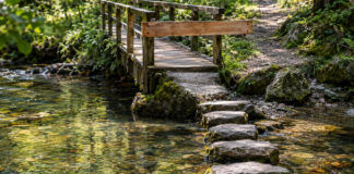 Eine schmale Holzbrücke über einen Waldbach ist mit einem quer genagelten Balken gesperrt, daneben führen flache Trittsteine durch das klare Wasser ans andere Ufer, Vormittagslicht