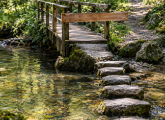 Eine schmale Holzbrücke über einen Waldbach ist mit einem quer genagelten Balken gesperrt, daneben führen flache Trittsteine durch das klare Wasser ans andere Ufer, Vormittagslicht