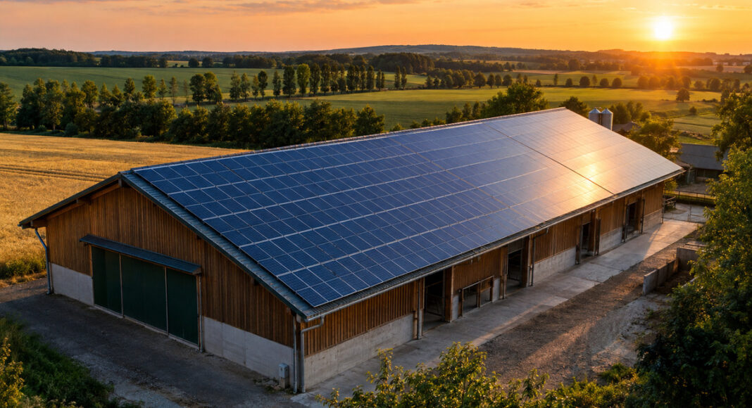 Photovoltaik auf dem Hallendach