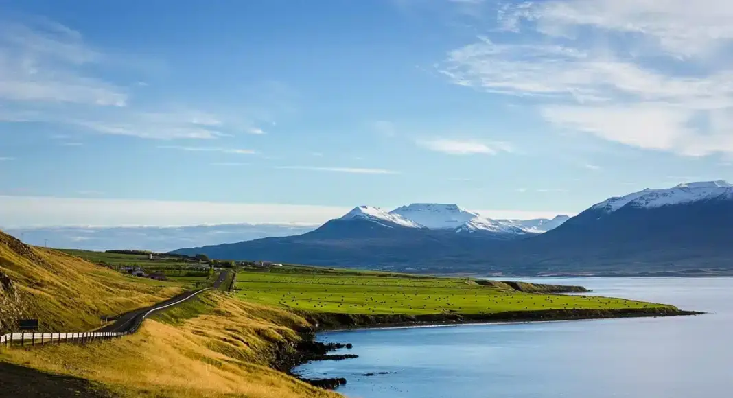 island auswandern