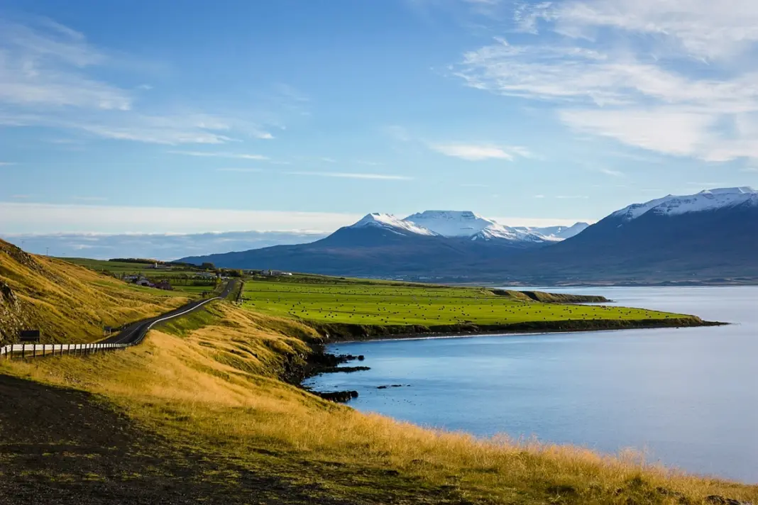 island auswandern