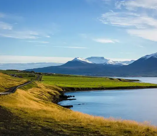 island auswandern