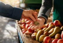 Ist-Besteuerung beantragen 2026: Wann sie für Gründer wirklich sinnvoll ist Kundin bezahlt am Obststand, Münzen wechseln die Hand