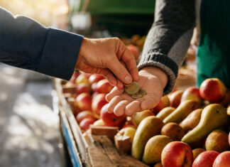 Kundin bezahlt am Obststand, Münzen wechseln die Hand